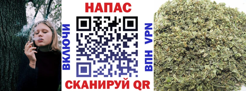 Шишки марихуана тримм цена наркотик Ржев